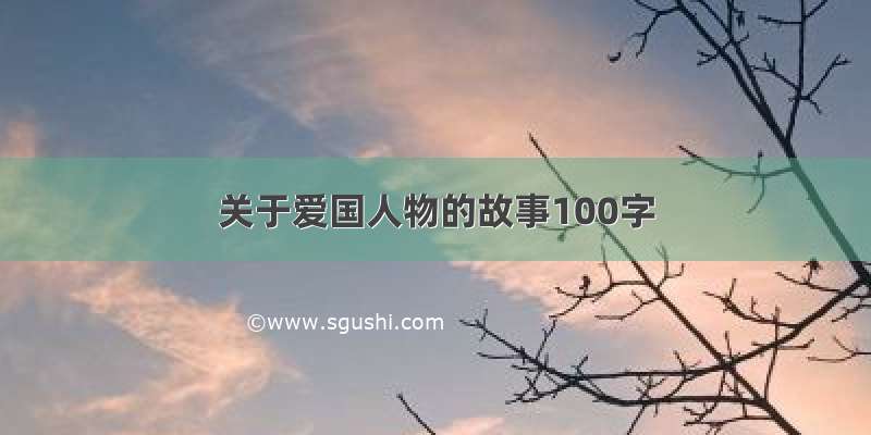 关于爱国人物的故事100字