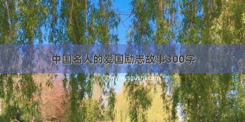 中国名人的爱国励志故事300字