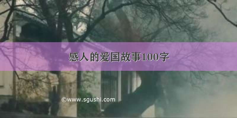 感人的爱国故事100字