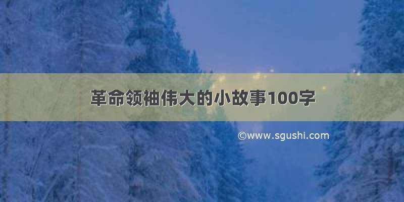 革命领袖伟大的小故事100字