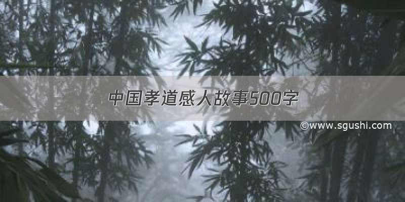 中国孝道感人故事500字