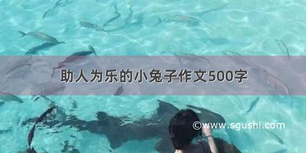 助人为乐的小兔子作文500字