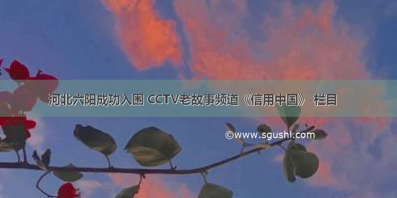 河北六阳成功入围 CCTV老故事频道《信用中国》 栏目
