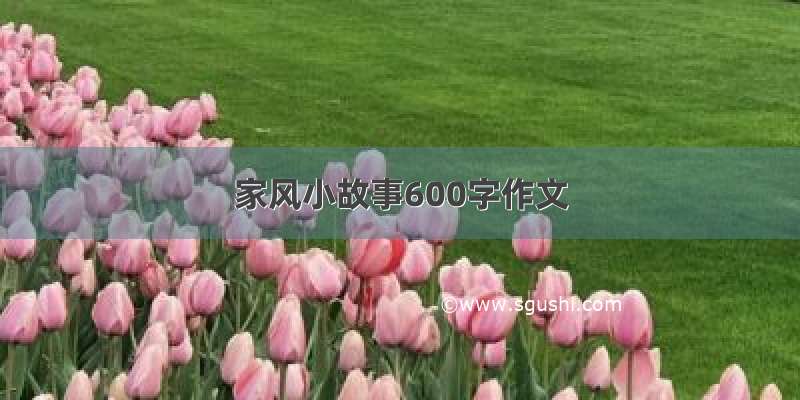 家风小故事600字作文