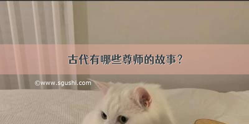 古代有哪些尊师的故事？