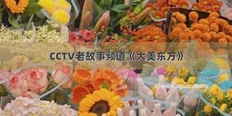 CCTV老故事频道《大美东方》