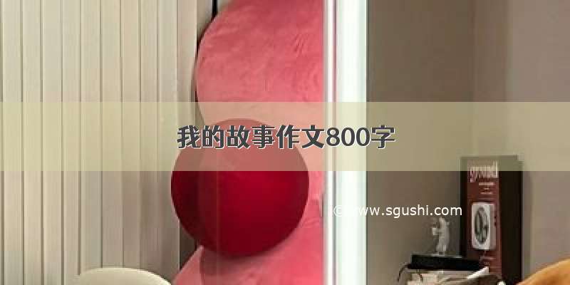 我的故事作文800字