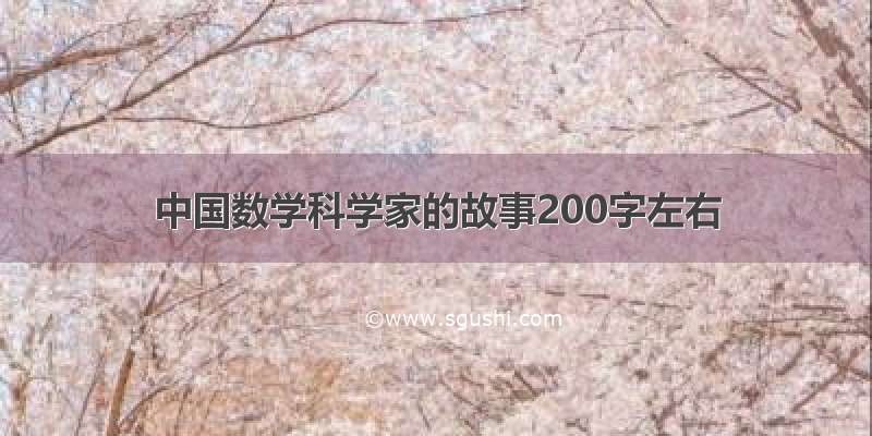 中国数学科学家的故事200字左右