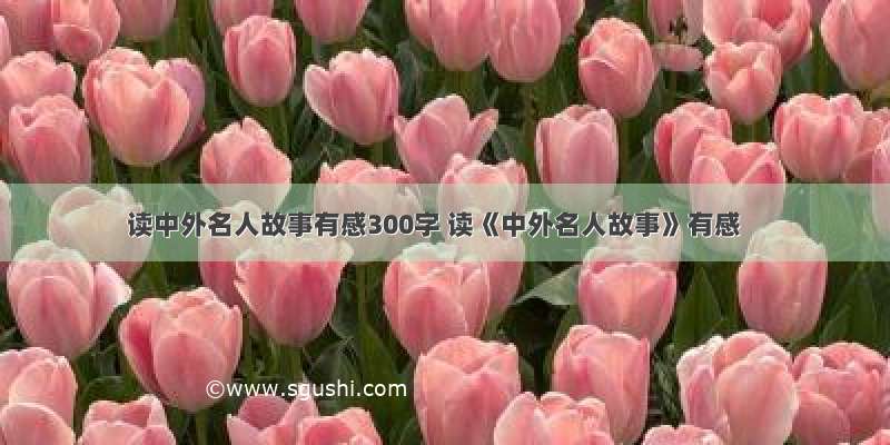 读中外名人故事有感300字 读《中外名人故事》有感