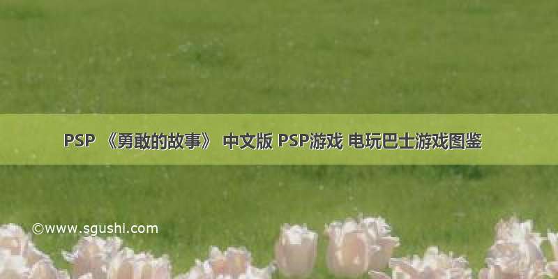 PSP 《勇敢的故事》 中文版 PSP游戏 电玩巴士游戏图鉴