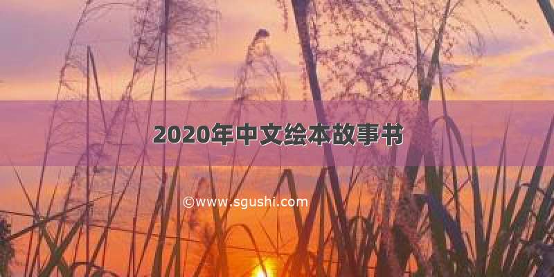 2020年中文绘本故事书