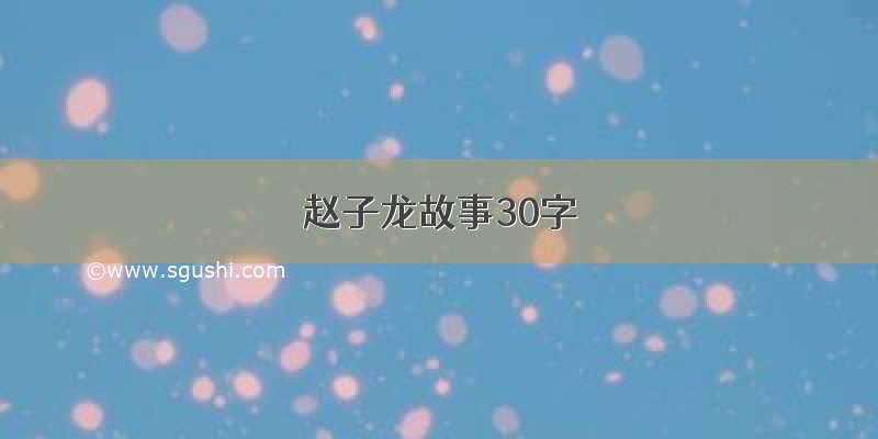 赵子龙故事30字