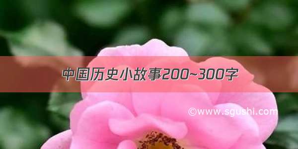 中国历史小故事200~300字