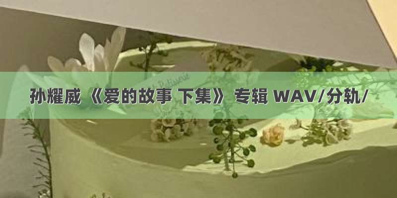 孙耀威 《爱的故事 下集》 专辑 WAV/分轨/