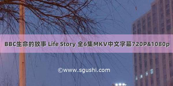 BBC生命的故事 Life Story 全6集MKV中文字幕720P&1080p