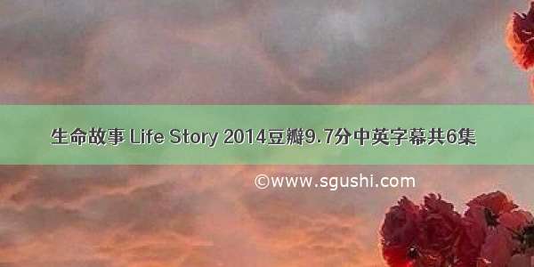 生命故事 Life Story 2014豆瓣9.7分中英字幕共6集