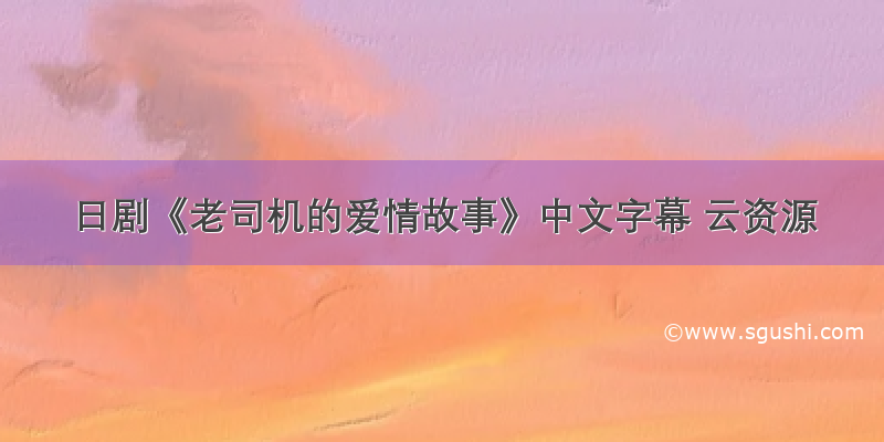 日剧《老司机的爱情故事》中文字幕 云资源