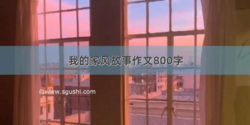 我的家风故事作文800字