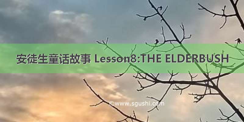 安徒生童话故事 Lesson8:THE ELDERBUSH