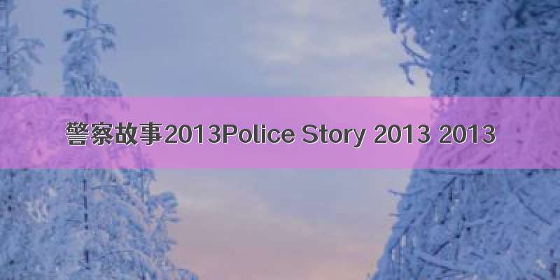 警察故事2013Police Story 2013 2013