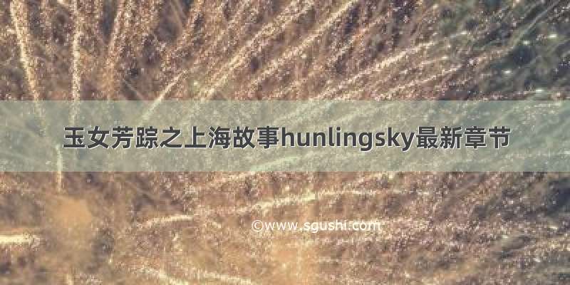 玉女芳踪之上海故事hunlingsky最新章节