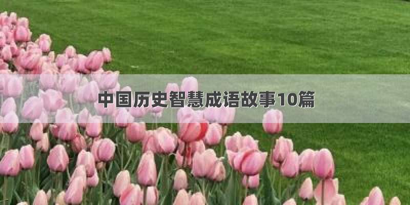 中国历史智慧成语故事10篇
