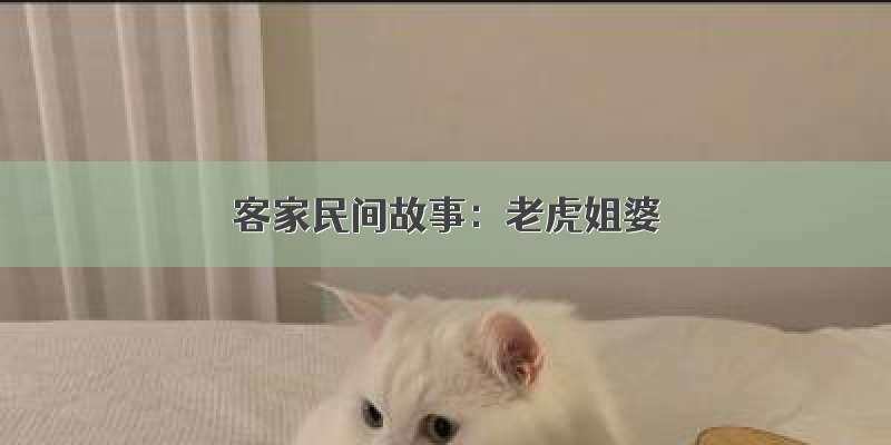 客家民间故事：老虎姐婆