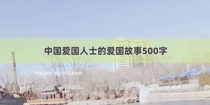 中国爱国人士的爱国故事500字