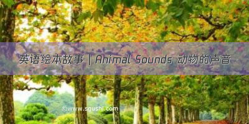 英语绘本故事｜Animal Sounds 动物的声音