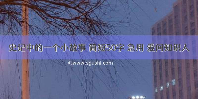 史记中的一个小故事 简短50字 急用 爱问知识人