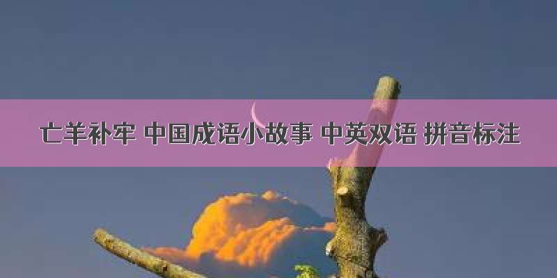 亡羊补牢 中国成语小故事 中英双语 拼音标注