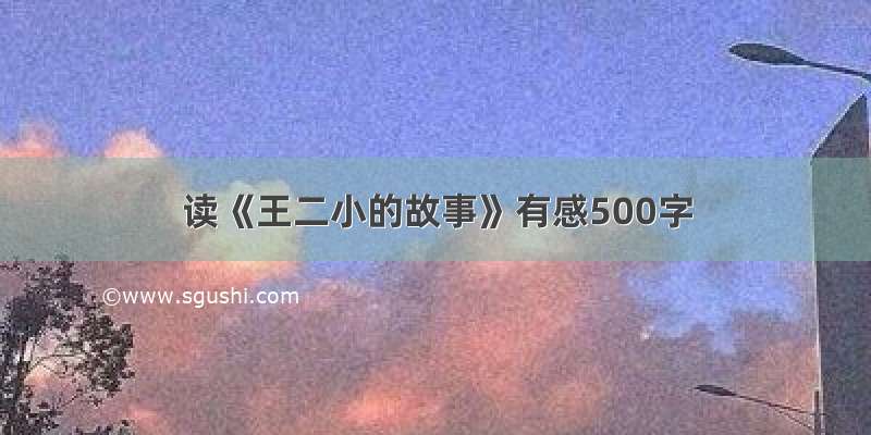 读《王二小的故事》有感500字