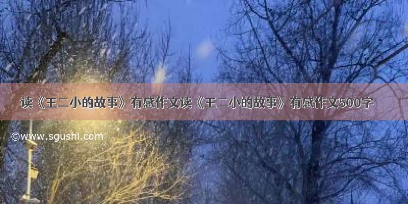 读《王二小的故事》有感作文读《王二小的故事》有感作文500字