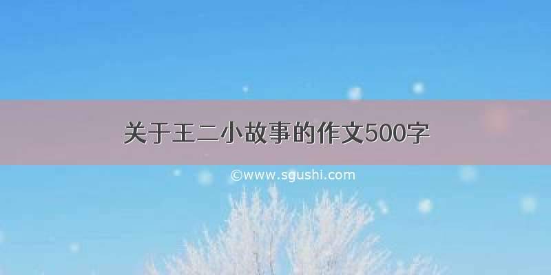 关于王二小故事的作文500字