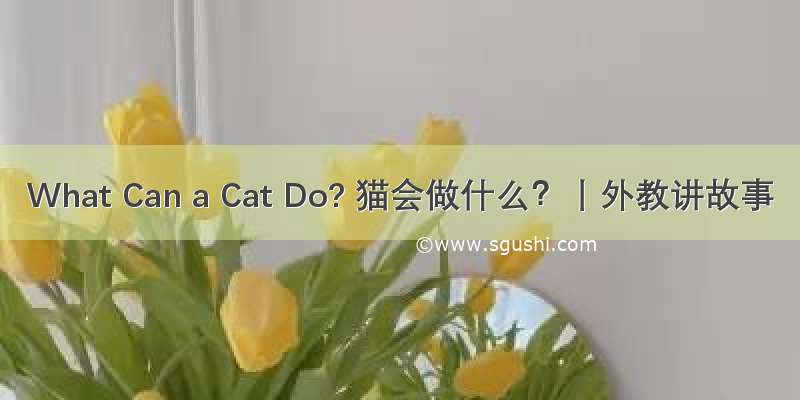 What Can a Cat Do? 猫会做什么？丨外教讲故事