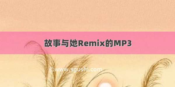 故事与她Remix的MP3