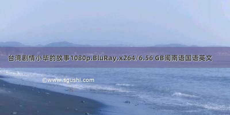 台湾剧情小毕的故事1080p.BluRay.x264/6.56 GB闽南语国语英文