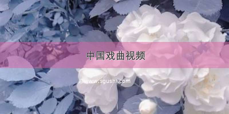 中国戏曲视频