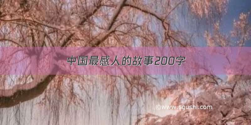 中国最感人的故事200字