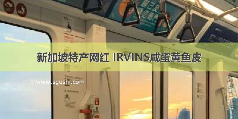 新加坡特产网红 IRVINS咸蛋黄鱼皮