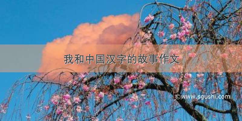 我和中国汉字的故事作文