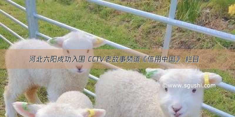 河北六阳成功入围 CCTV老故事频道《信用中国》 栏目