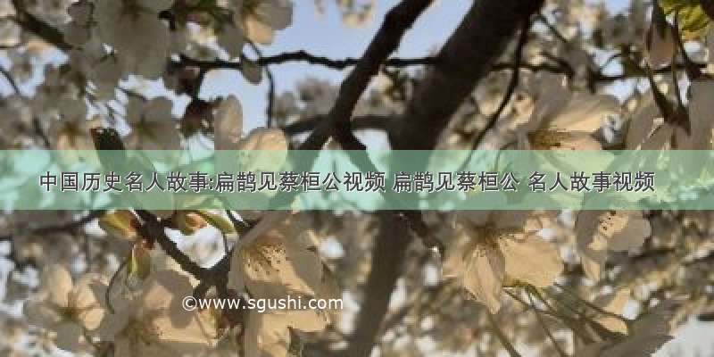 中国历史名人故事:扁鹊见蔡桓公视频 扁鹊见蔡桓公 名人故事视频