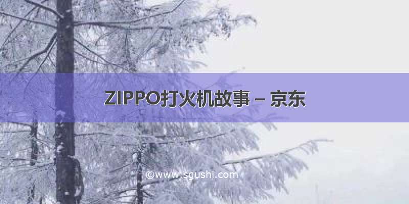 ZIPPO打火机故事 – 京东