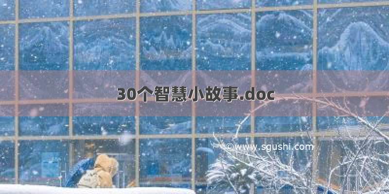 30个智慧小故事.doc