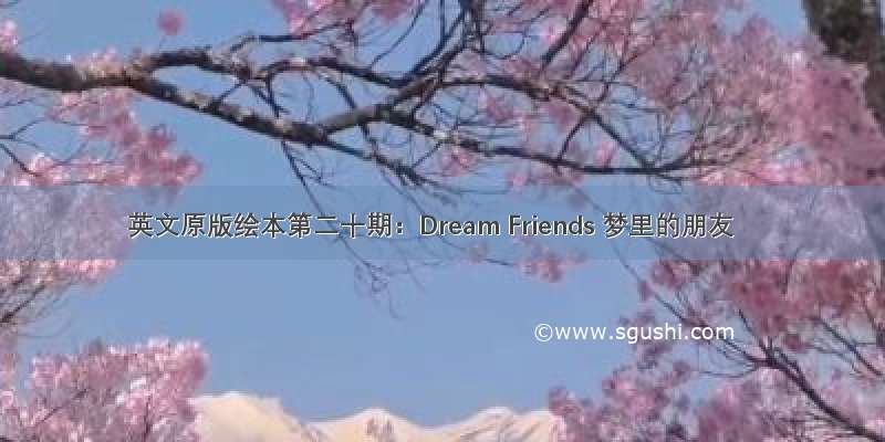 英文原版绘本第二十期：Dream Friends 梦里的朋友