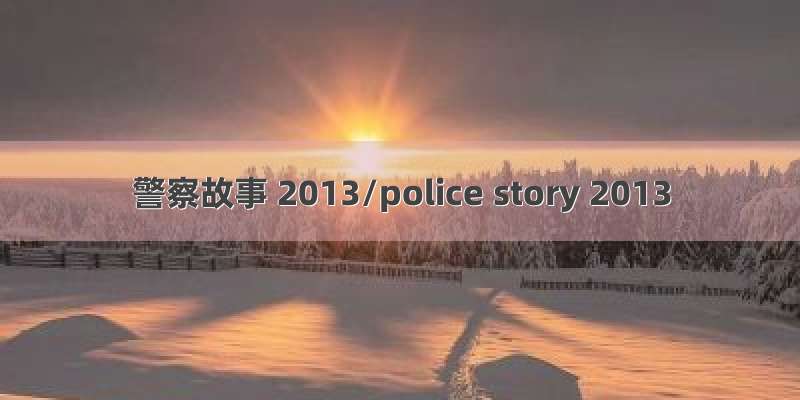 警察故事 2013/police story 2013