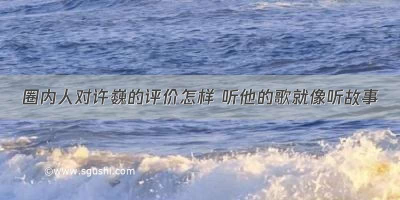 圈内人对许巍的评价怎样 听他的歌就像听故事