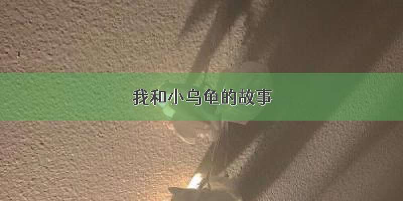 我和小乌龟的故事