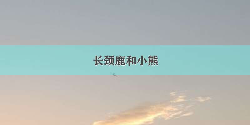 长颈鹿和小熊